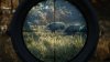 Игра The Hunter: Call of the Wild 2019 Edition Русская Версия (PS4) Playstation 4