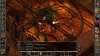 Baldur's Gate 2 (II): Enhanced Edition (PC) 