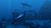 Tomb Raider: Underworld (Xbox 360/Xbox One)