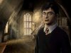 Гарри Поттер и Орден Феникса (Harry Potter and the Order of the Phoenix) (Xbox 360)
