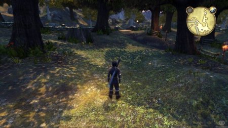 Fable Anniversary Русская Версия (Xbox 360/Xbox One)