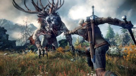   3:   (The Witcher 3: Wild Hunt)   (PS4) Playstation 4
