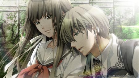 игра Norn9: Last Era Ограниченное издание (Limited Edition) (Switch) для Nintendo Switch