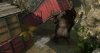 Troll and I (тролль и я) (Xbox One) 