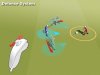 Купить игру Pro Evolution Soccer 2009 (PES 9) (Wii/WiiU) на Nintendo Wii диск