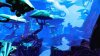 Игра Battleborn (PS4) Playstation 4