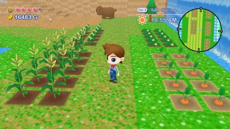 игра Harvest Moon: The Lost Valley and Skytree Village (Switch) для Nintendo Switch