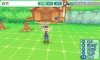 Купить игру Harvest Moon: A New Beginning (Nintendo 3DS) на 3DS