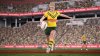 Игра Rugby League Live 4 World Cup Edition (PS4) Playstation 4