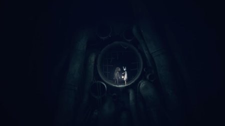 Reanimal Deluxe Edition (Game-Key Card) Русская Версия (Switch 2)