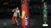   UFC Personal Trainer: The Ultimate Fitness System  PlayStation Move +    (PS3)  Sony Playstation 3