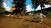 Warrior Cats: Clans of the Forest Feral Edition (PS5)