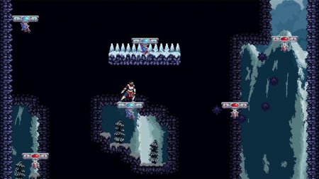 игра Chronicles of 2 Heroes: Amaterasu's Wrath Коллекционное издание (Collector's Edition) Русская Версия (Switch) для Nintendo Switch