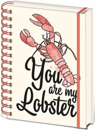  Pyramid:    (You are my Lobster)  (Friends) (Wiro Notebooks) (SR72882) A5