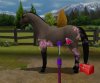 Купить игру Pony Friends 2 (Wii/WiiU) на Nintendo Wii диск