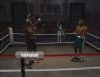   Don King Boxing (Wii/WiiU)  Nintendo Wii 