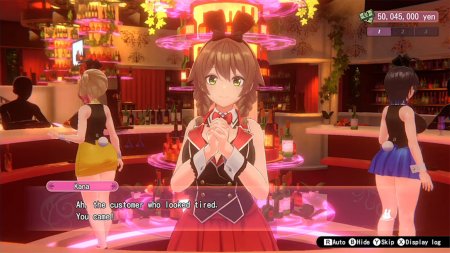 игра Bunny Garden (Switch) для Nintendo Switch