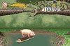 Charlotte's Web Русская Версия (GBA) для Game boy