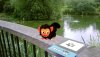  EyePet Приключения (Требуется камера GoCam) Русская Версия (PSP) USED Б/У 
