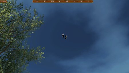 игра Colossal Cave Русская Версия (Limited Run) (Switch) для Nintendo Switch