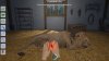 My Vet Practice in the Zoo (PS5)