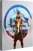 Mortal Kombat 1 Steelbook Edition Русская Версия (Xbox Series X)