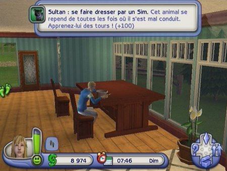  The Sims 2: Pets () (Wii/WiiU)  Nintendo Wii 