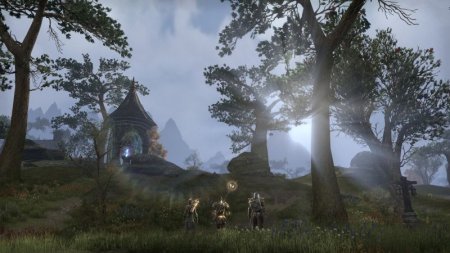 Игра The Elder Scrolls Online Gold Edition (PS4) Playstation 4
