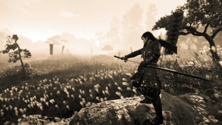 Nioh 3 Steelbook Launch Edition Русская Версия (PS5)