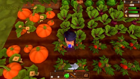 Harvest Life   (PS5)