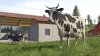 игра Farming Simulator 26: Nintendo Switch Edition Русская Версия (Switch) для Nintendo Switch