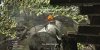 Call of Duty 4: Modern Warfare Издание Игра Года (Game of the Year Edition) (Xbox 360/Xbox One)