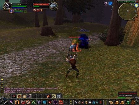 World of Warcraft: 14-     Jewel (PC) 