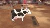 Story of Seasons: A Wonderful Life Ограниченное издание (Limited Edition) (PS5)