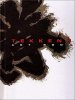  Limited Edition Tekken 6 Art Book Hardcover – Illustrated USED Б/У