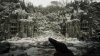 Resident Evil 8 Village Золотое издание (Gold Edition) Русская Версия (PS5)