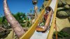 Игра Planet Coaster Console Edition (PS4/PS5) Playstation 4