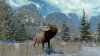  Cabela's North American Adventures (PSP) 