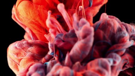 Игра Dark Nights with Poe and Munro (Limited Run #441) (PS4) Playstation 4