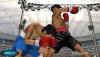  Boxers Road 2 (PSP) 