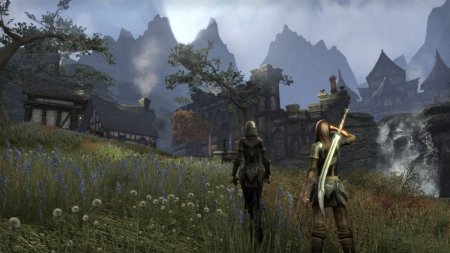 Игра The Elder Scrolls Online Gold Edition (PS4) Playstation 4