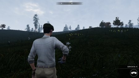 Hunting Simulator Русская Версия Box (PC) 