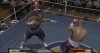 Fight Night Round 3 (PS2) USED Б/У