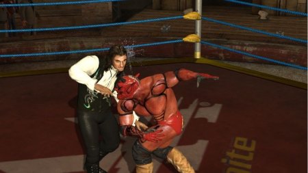   AAA Lucha Libre: Heroes of the Ring (Wii/WiiU)  Nintendo Wii 