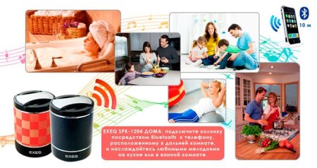 Беспроводная колонка EXEQ SPK-1204 Черная 3DS/PS Vita/PSP/PC (PS Vita) для Sony PlayStation Vita