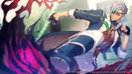 игра Radiant Tale (Switch) для Nintendo Switch