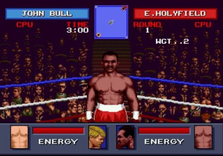 Evander Holyfield's Boxing   (16 bit) 