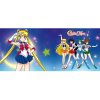  Кружка ABYstyle: Воины в матросках (Sailor Warriors) Сейлор Мун (Sailor Moon) (ABYMUG143) 320 мл