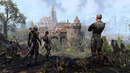 Игра The Elder Scrolls Online: Blackwood Collection (PS4) Playstation 4