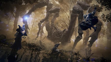 Игра Elden Ring Nightreign Seekers Edition Русская Версия (PS4/PS5) Playstation 4
